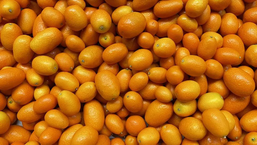 Kumquats